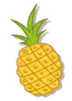 04024xos-f9f8-146x205.png