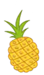 04024yhr-c26d-142x242.png