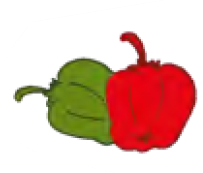 04024yj1-e5ea-203x173.png