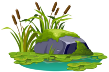 0402511e-74ff-225x149.png