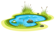 0402511s-5d8d-237x140.png