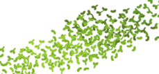 0402515d-551d-229x107.png