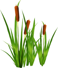 04025161-9706-235x278.png