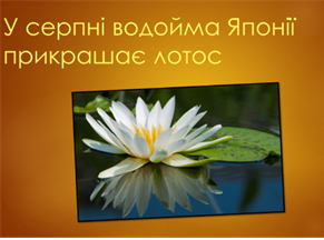 040251nh-c98f-291x216.png