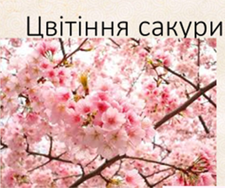 040251r3-49f8-327x273.png