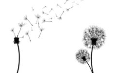 040252nb-6363-233x151.png