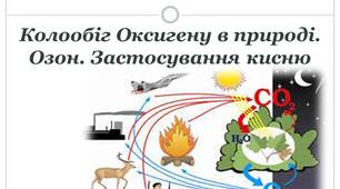 Колообіг Оксигену в природі. Озон. Застосування кисню