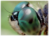0402535f-d61c-162x122.png