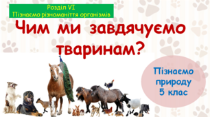 Презентація "Чим ми завдячуємо тваринам". "Пізнаємо природу" 5 клас НУШ.