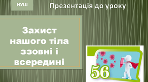 Захист нашого тіла ззовні і всередині