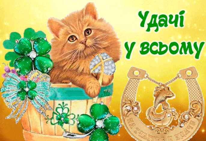 040253t7-b746-686x470.png