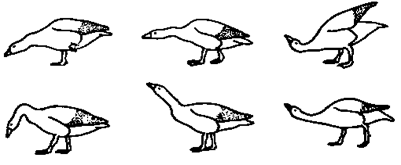 040254ap-d7ce-798x330.png