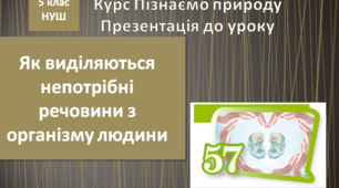 Як виділяються непотрібні речовини з організму людини