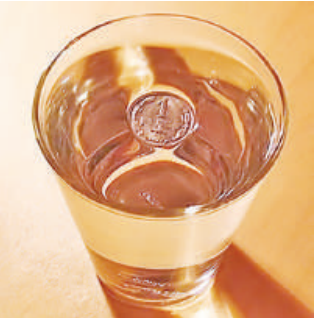 040254p5-3bf1-317x318.png