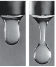 040254sv-2e43-196x236.png
