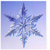 040254xi-19b9-164x165.png