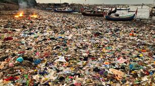 Environmental Problems