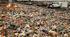 Environmental Problems
