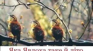 СКОРО ЯВДОХИ…