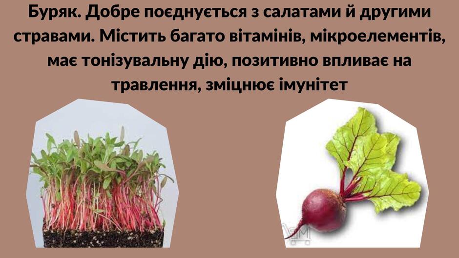 040258kz-9162-940x529.jpg