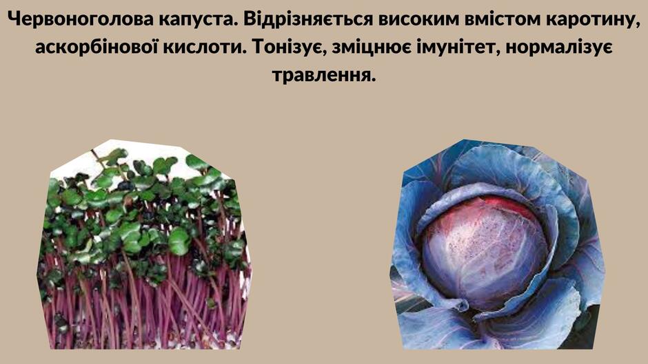 040258l1-ab19-940x529.jpg