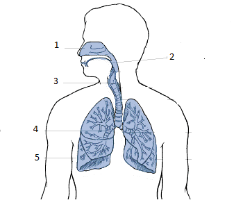 04025b6d-c850-350x298.png