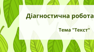 Діагностична робота на тему: "Текст"