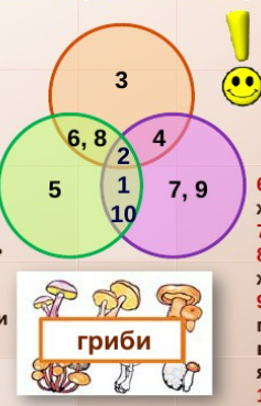 04025edl-8282-237x369.png