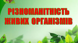 5 клас НУШ. Пізнаємо різноманітність природи (Ч.1)