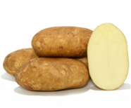 04025fnh-aff5-186x154.png