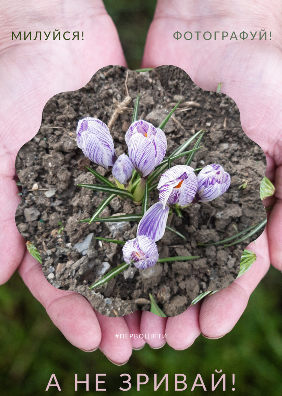 04025g9m-19a8-940x1317.png