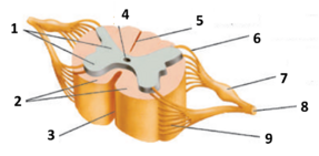 04025gbi-20bb-287x141.png