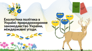 Презентація "Екологічна політика в Україні: природоохоронне законодавство України, міждержавні угоди.", 11 клас