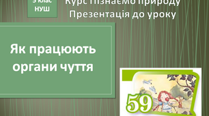 Як працюють органи чуття