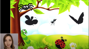 Insects and bugs