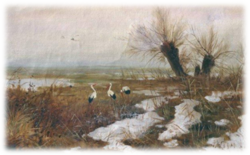 04025kyy-fc2e-250x155.png