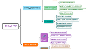 Гра доміно "Хребетні та безхребетні тварини"