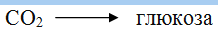 04025n50-8c8d-218x36.png