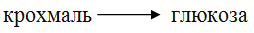 04025n5m-2d2b-254x33.png