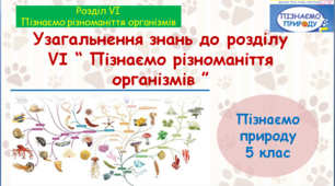 Презентація "Узагальнення знань до розділу VІ «Пізнаємо різноманіття організмів» ", 5 клас НУШ за ред. Біди Д.Д. та ін.