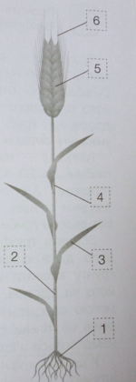 04025p02-9d43-150x420.png