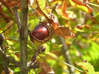 04025qn6-d874-320x240.jpg