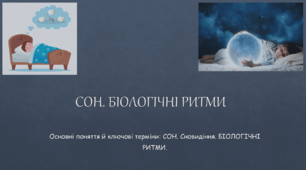 "Сон. Біологічні ритми" презентація для 8-го класу