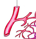 04025rqn-44d8-120x131.png