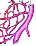 04025rqs-3794-123x156.png