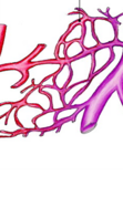 04025rqv-ca51-111x187.png
