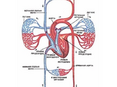 04025rqy-b2ef-168x126.png