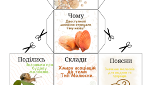 Кубик Блума на тему "Тип Молюски"