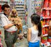 10 Best Pet Stores in Singapore for Great Treats, Toys, and More!