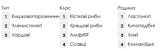 04026530-4cb6-519x165.png